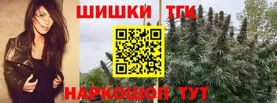 таблы Новокубанск