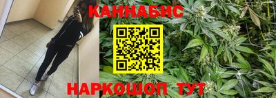 трава Новодвинск