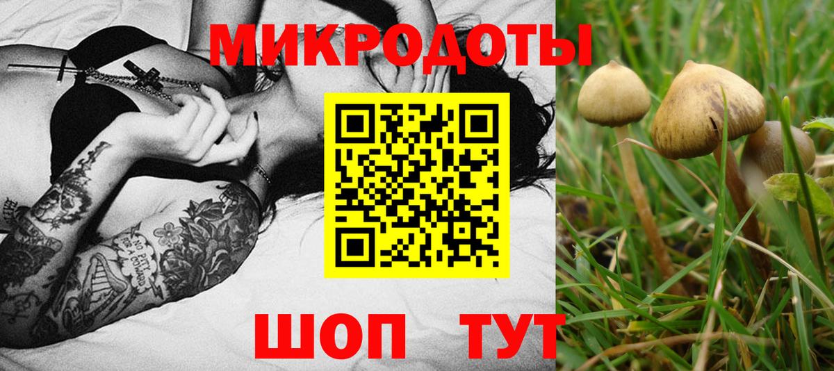 Ступино  Галлюциногенные грибы Psilocybine cubensis  Вход с VPN  Галлюциногенные грибы мицелий 