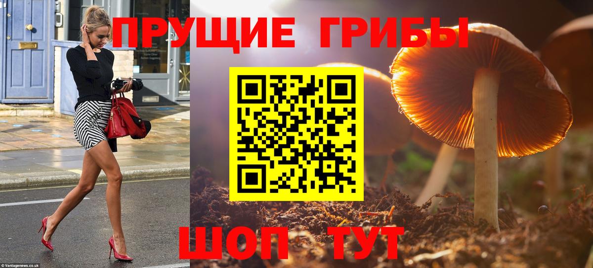 Галлюциногенные грибы мицелий Ступино